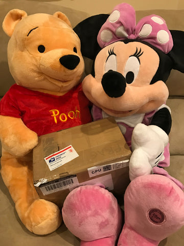 Minnie Mouse and Winnie the Pooh Visit MagicAtYourDoor.com