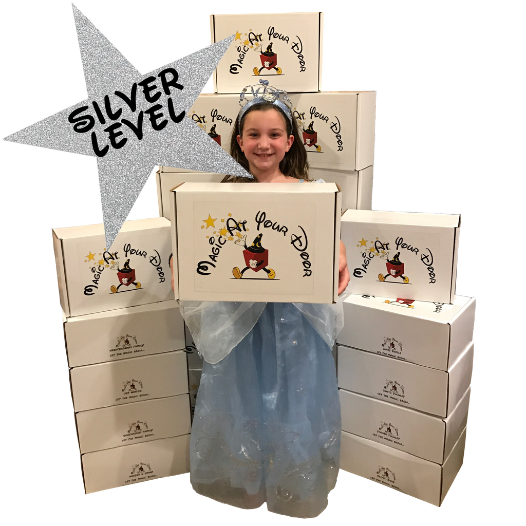Disney Magic Box Subscription - Silver Level | Magic At Your Door
